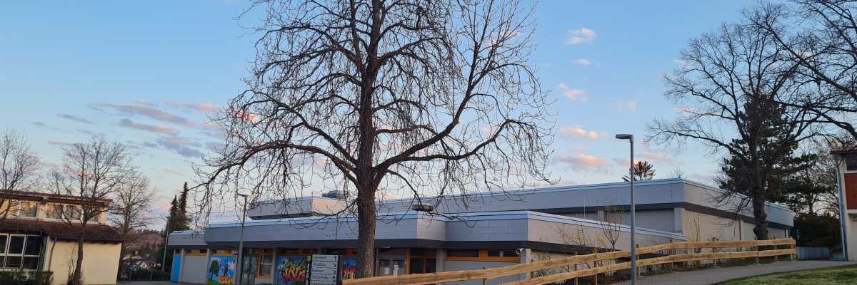 Kastanienbaum