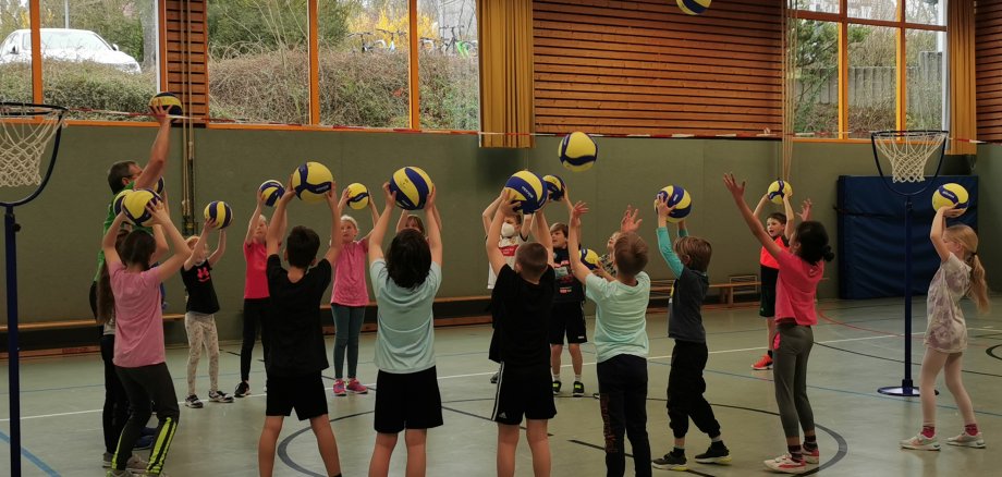 Volleyballtraining