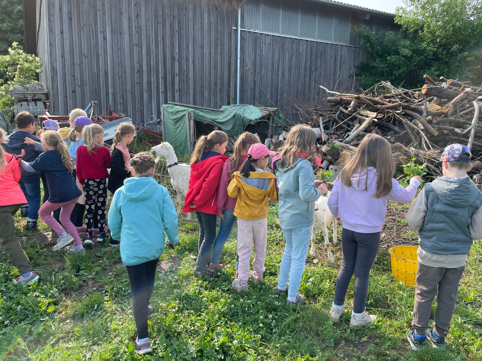 Ausflug zum Bauernhof