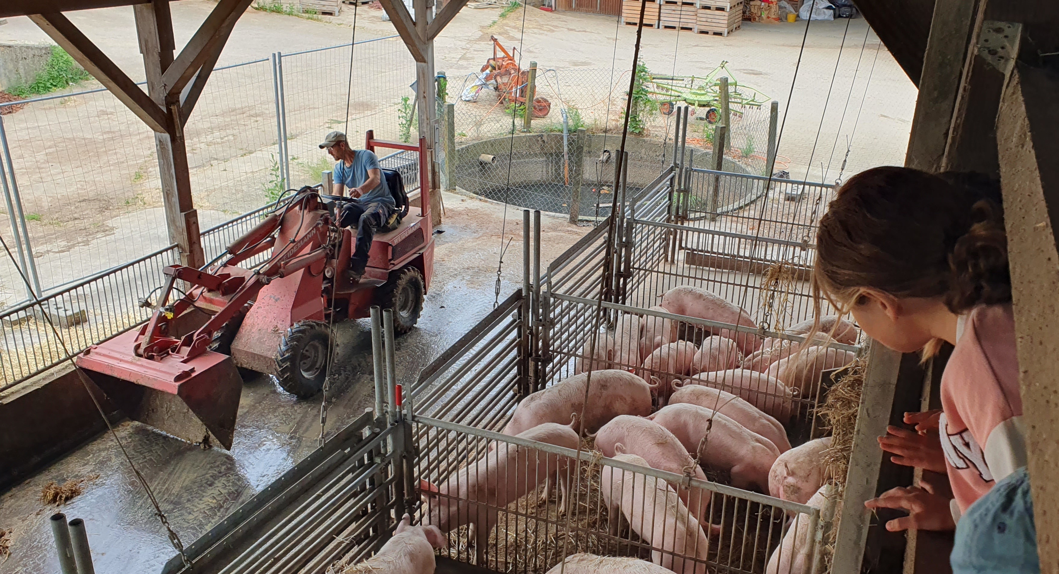 Ausflug zum Bauernhof