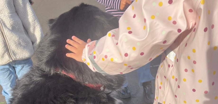 Sprachförderung mit Hund