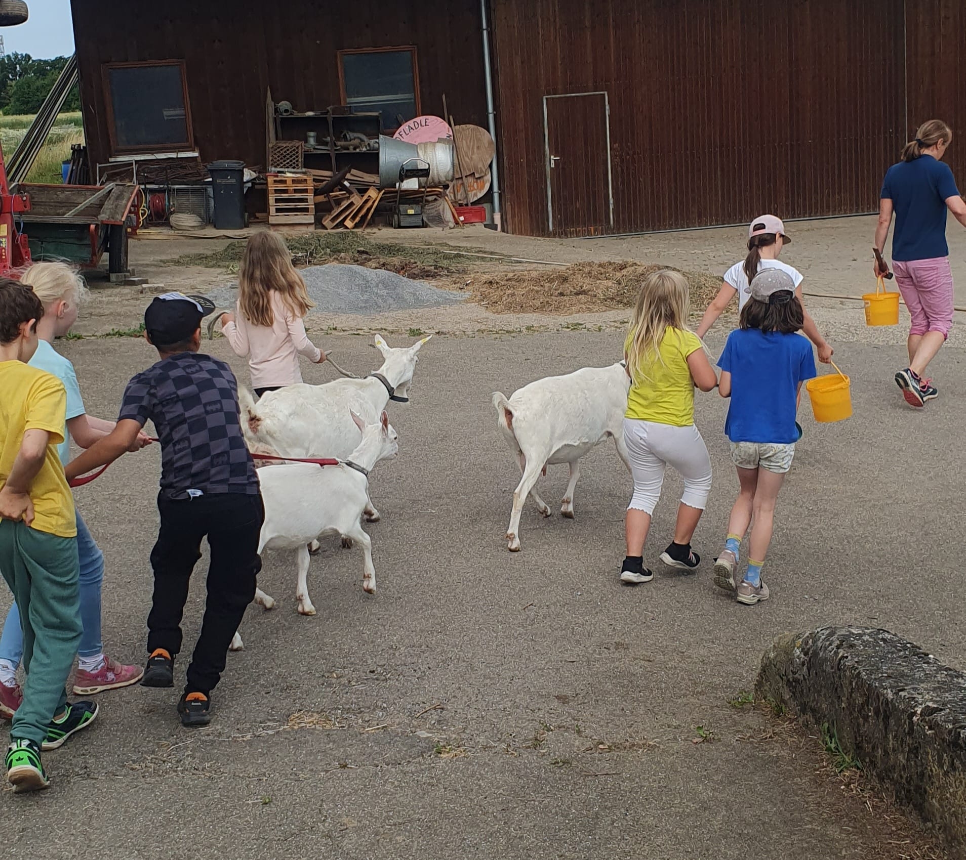 Besuch auf dem Bauernhof