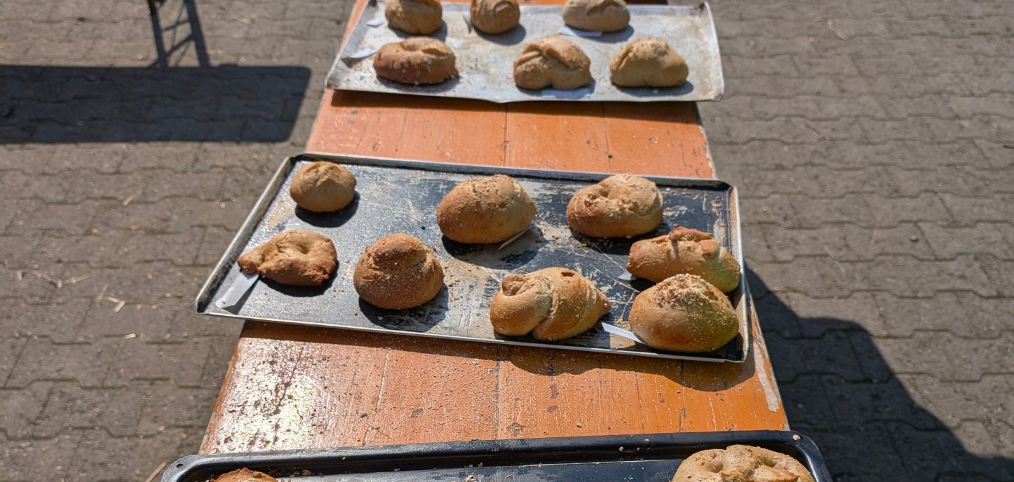 Lernort Bauernhof - Vom Korn zum Brot