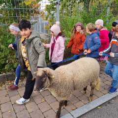 Schulschafe Lucky und Luke