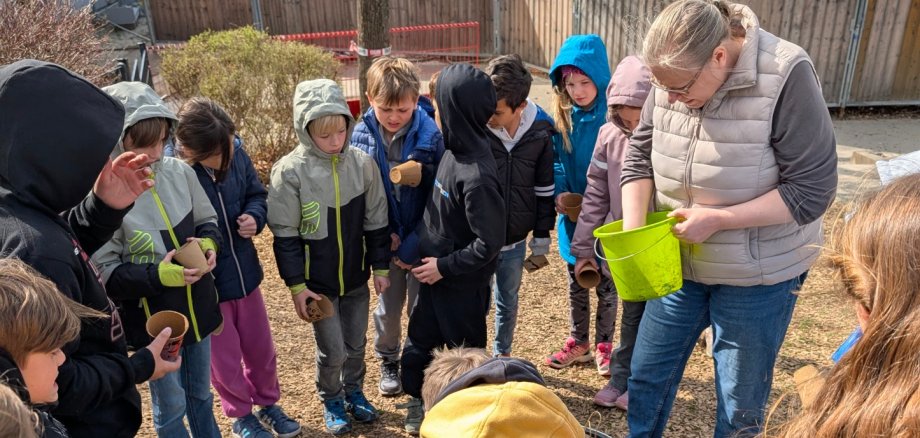 Projekt: „Ameise, Biene & Co“