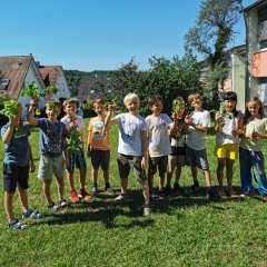 Ernte im Schulgarten