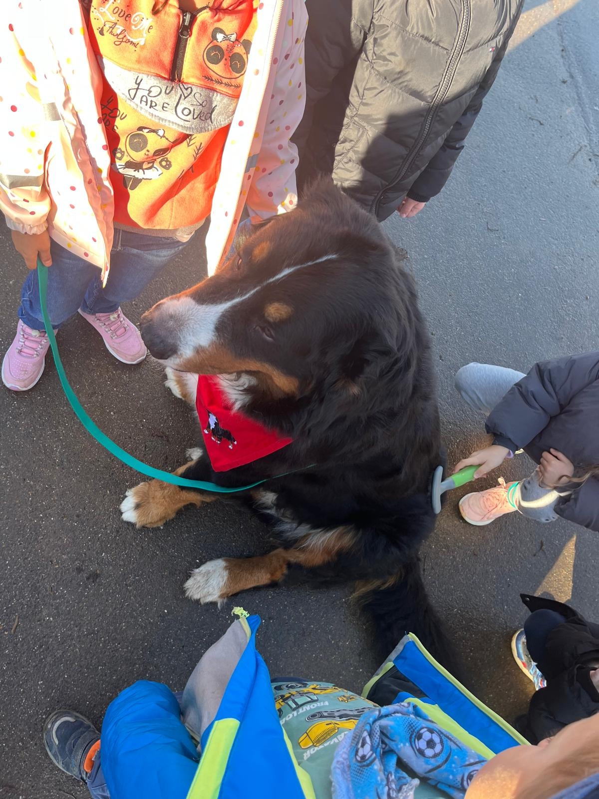 Sprachförderung mit Hund