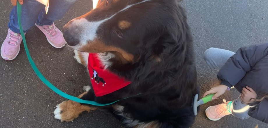 Sprachförderung mit Hund