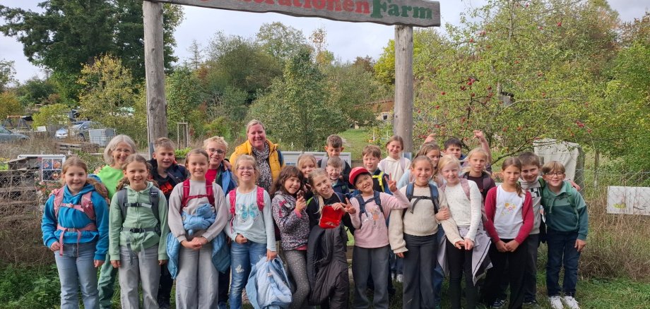 Klasse 4d
