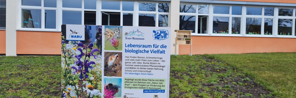 Gebäude 3 mit Blumenwiese