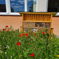 Gebäude 3 mit Blumenwiese